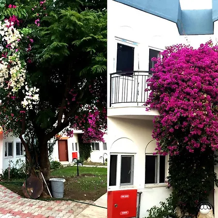 Park Limros * فينيقيه